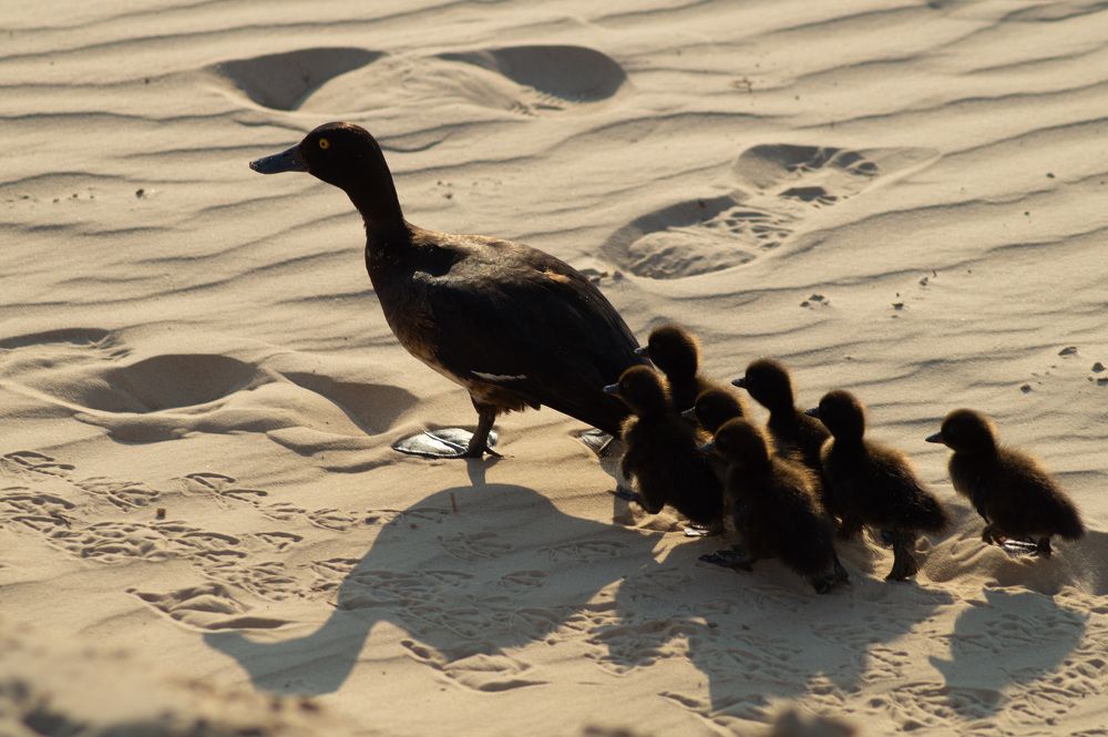 Photograph by Сергей Забиякин