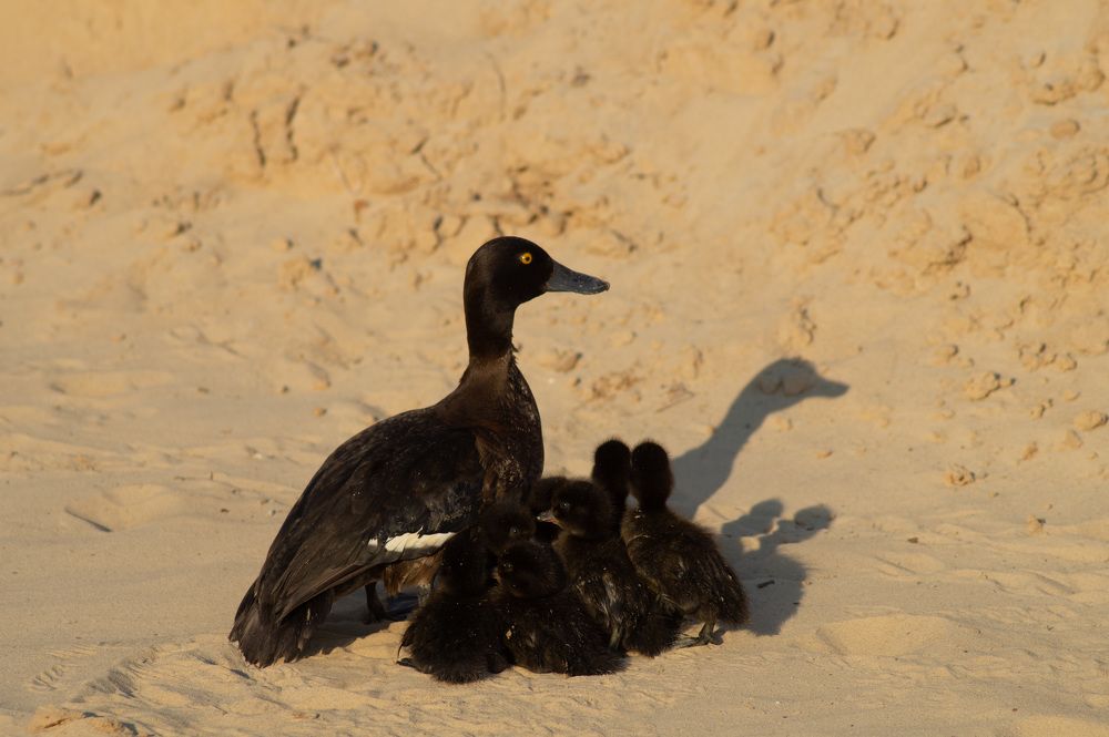 Photograph by Сергей Забиякин