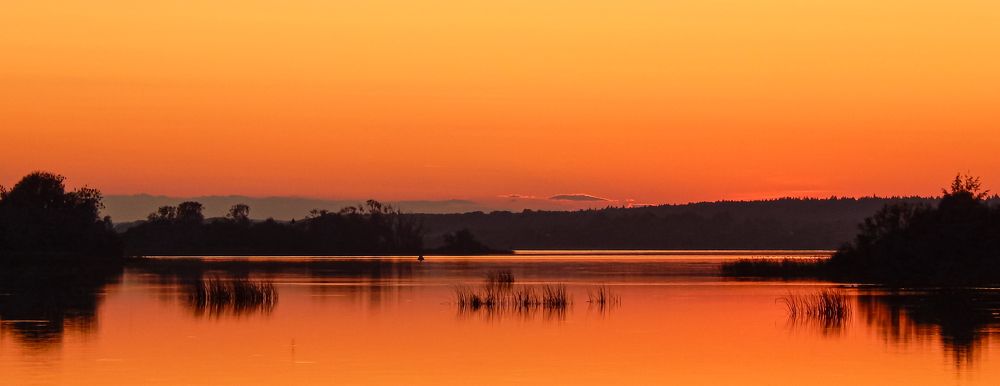 Photograph by Диана Бородзе