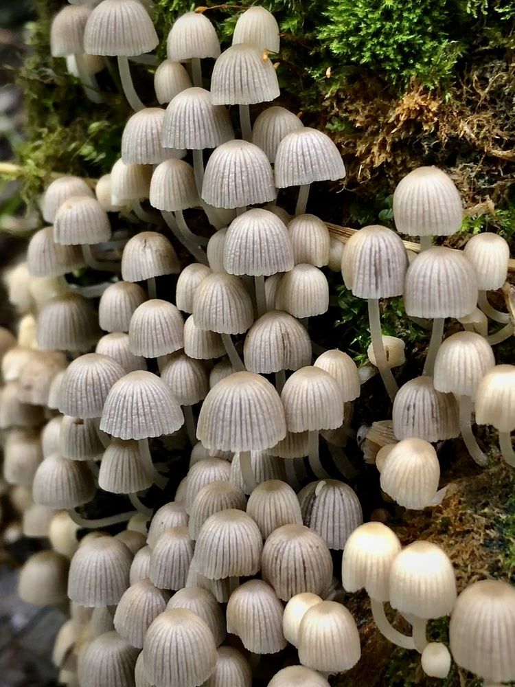 Фотография автора Евгения Елисеева