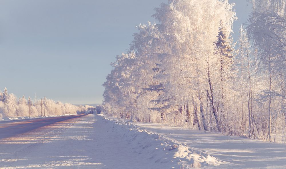 Photograph by Сергей Забиякин