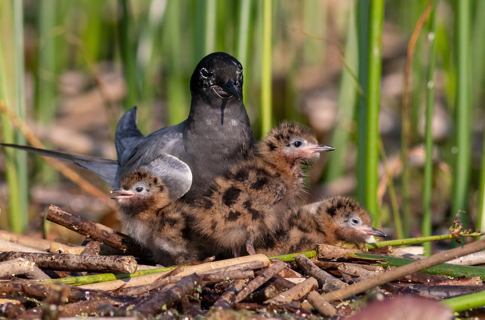 Photograph by Павел Краснослободцев