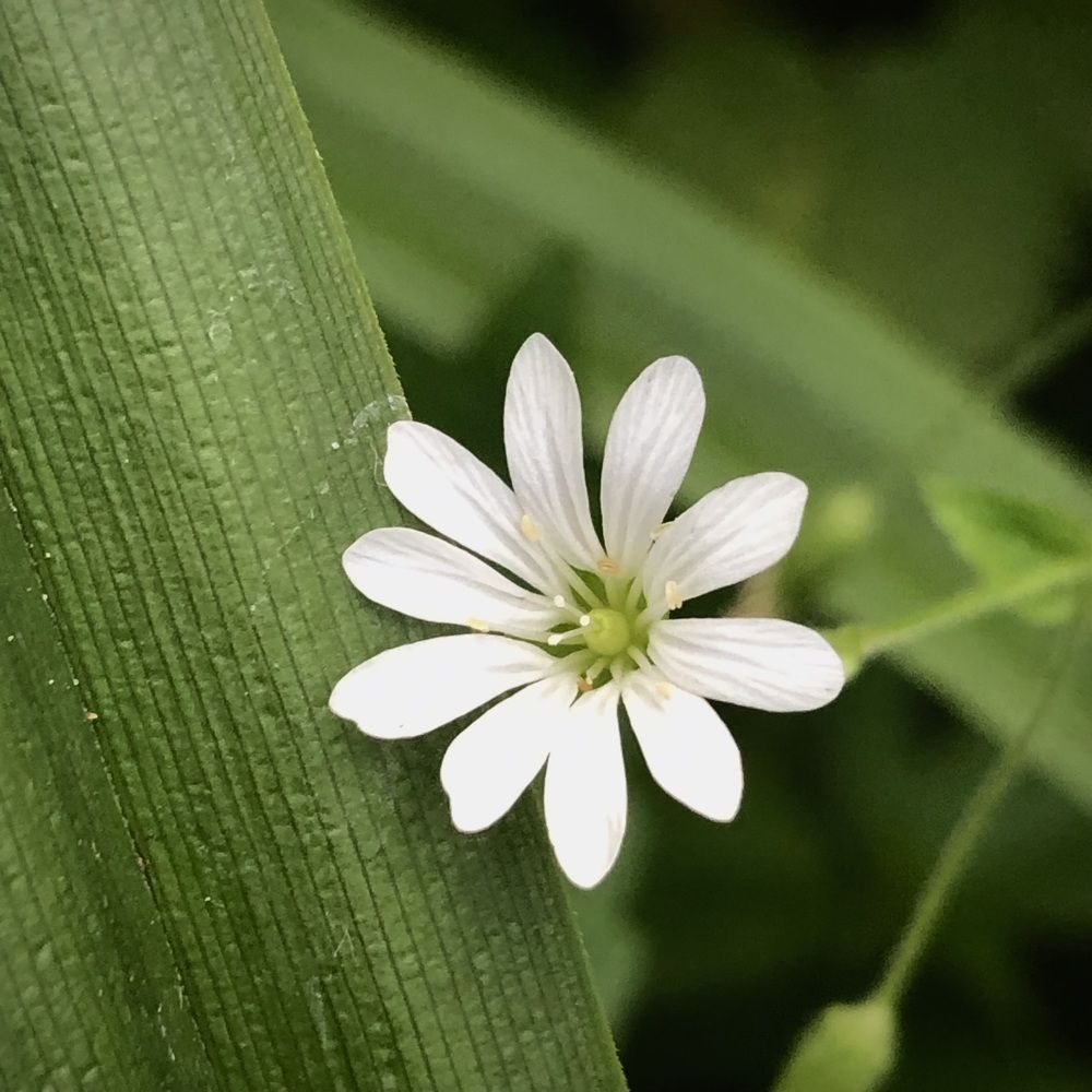 Фотография автора Евгения Елисеева