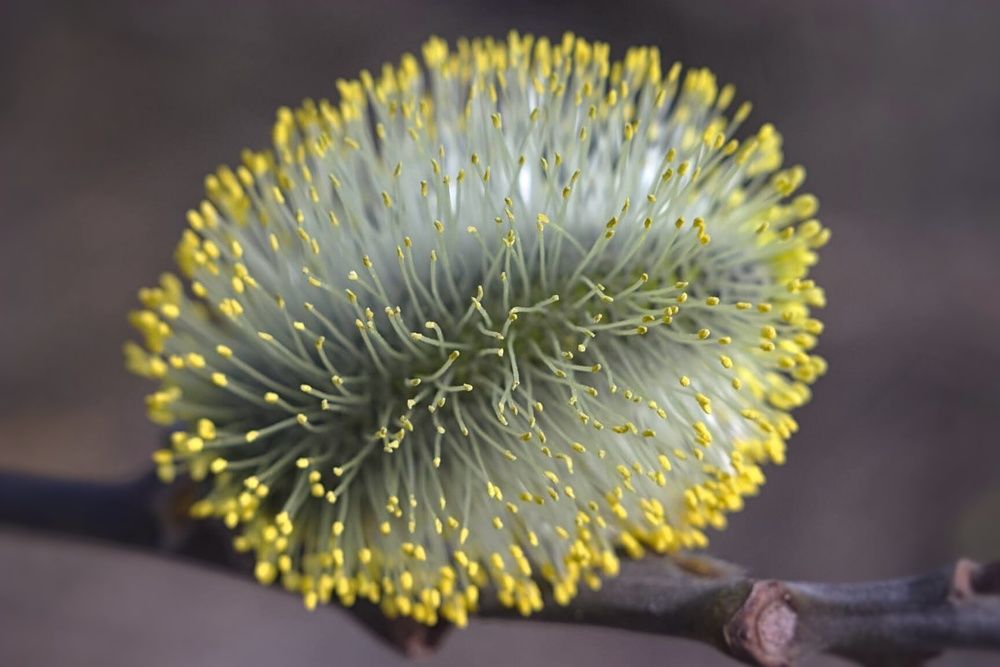 Photograph by Евгений Беленков