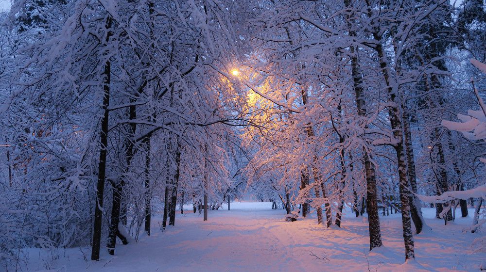 Photograph by Игорь Криулин