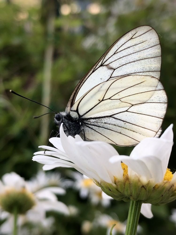 Фотография автора Евгения Елисеева