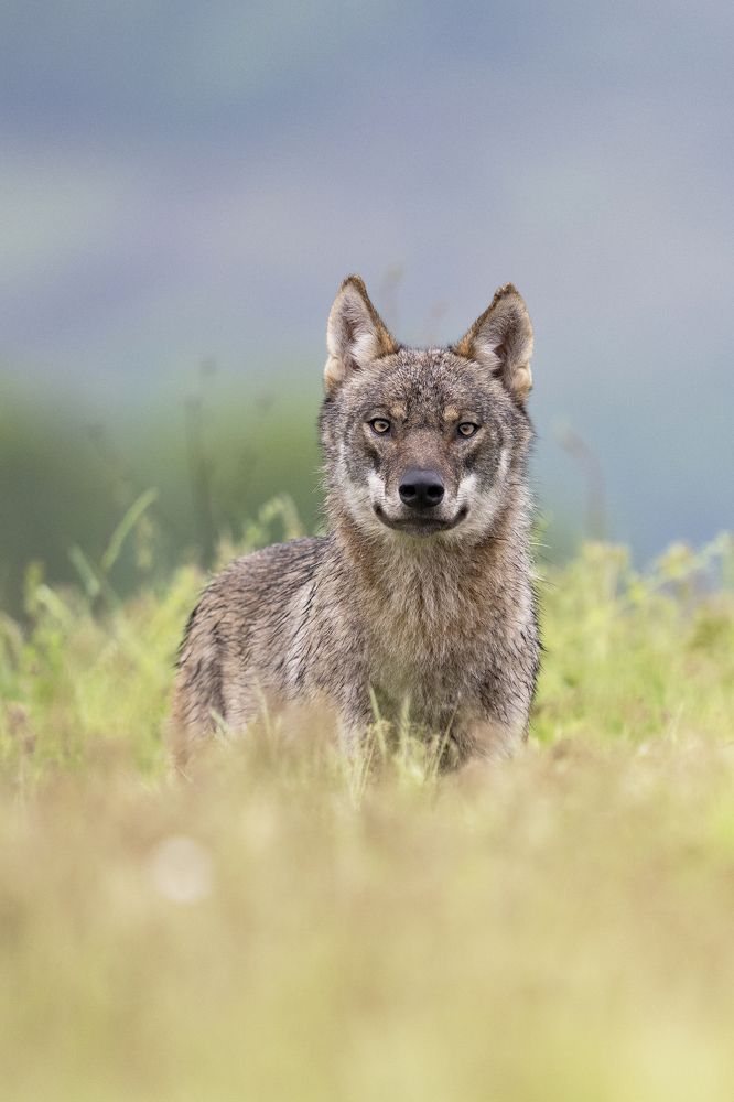 Photograph by Ernestas Balcikonis