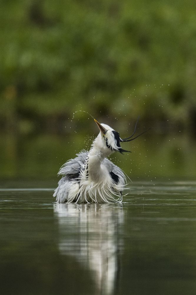 Photograph by Ernestas Balcikonis