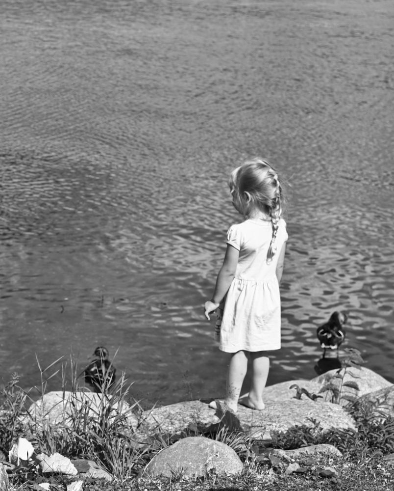 Photograph by Екатерина Степанова