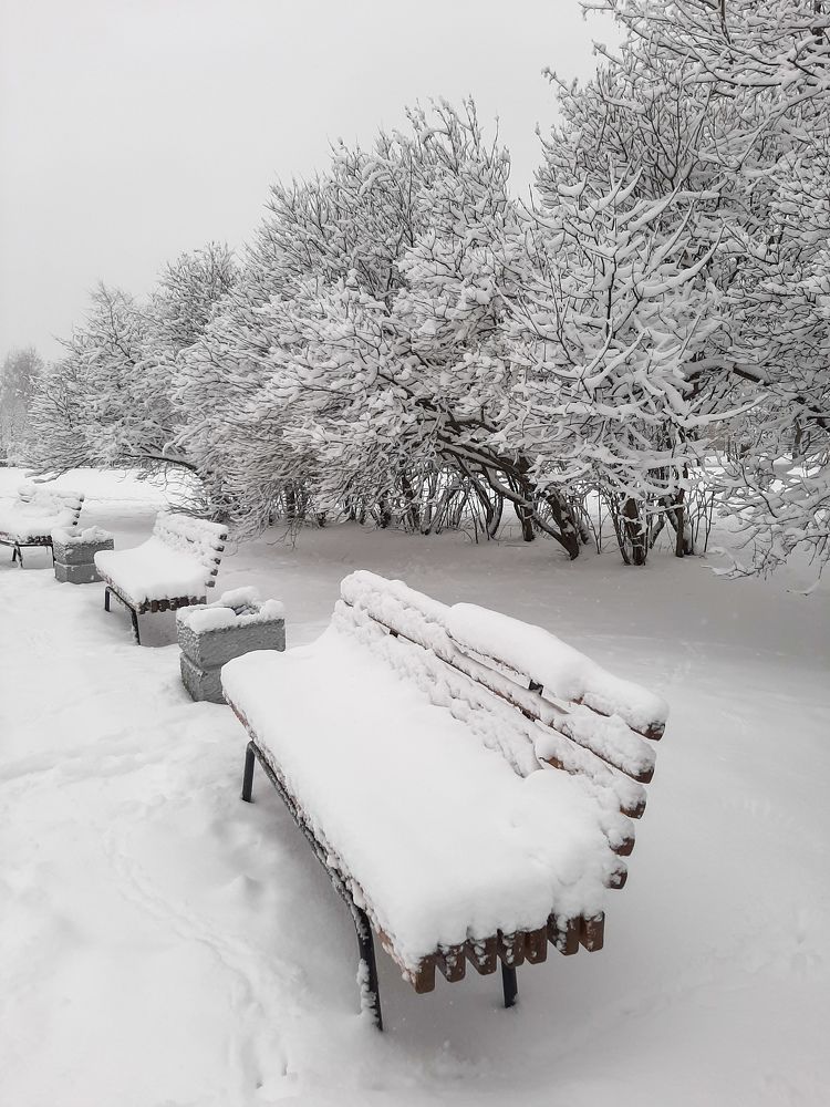 Фотография автора Светлана Дунаева