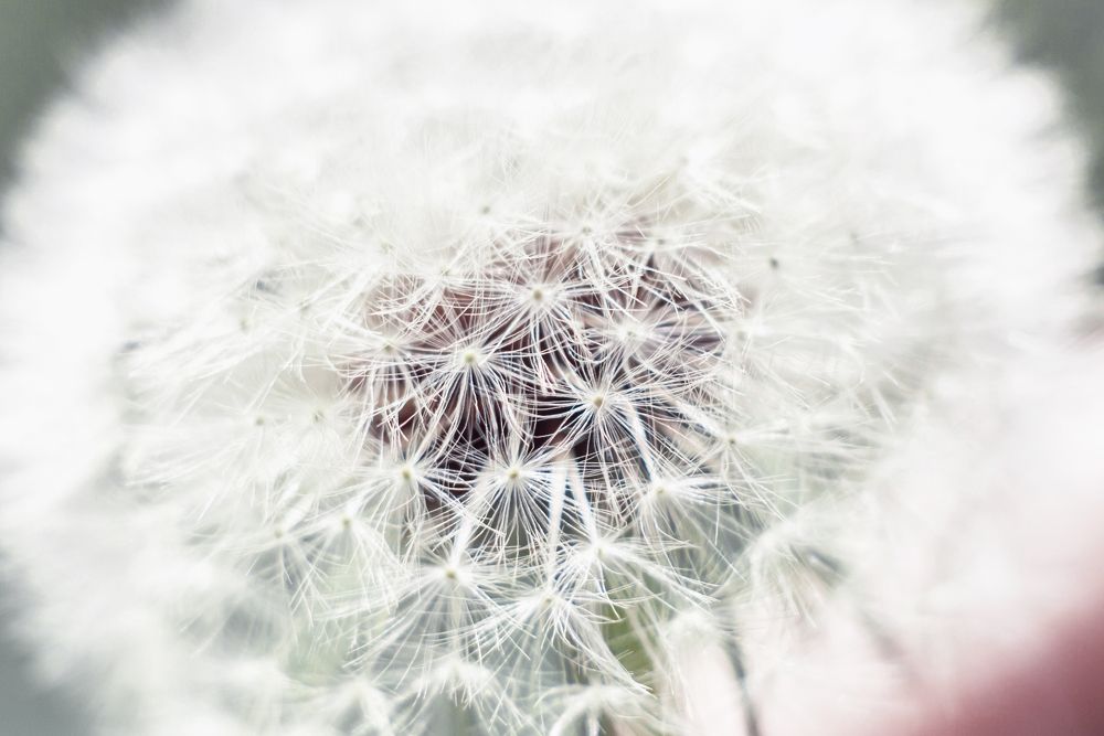 Photograph by Алина Лебедь