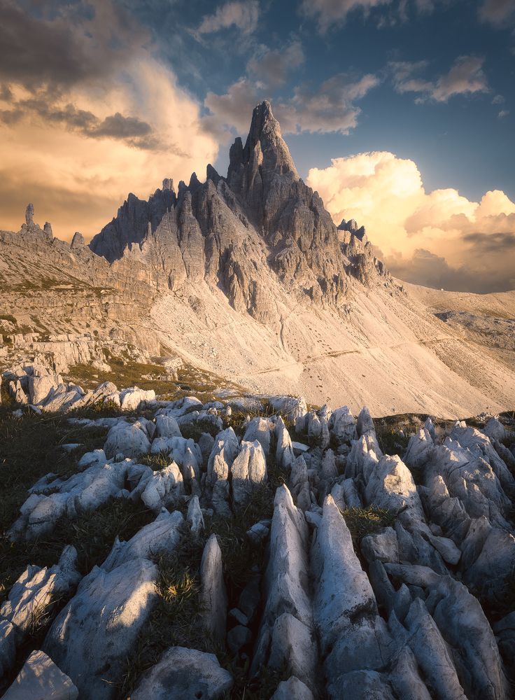 Photograph by Nicola Campanella