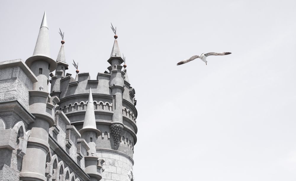 Photograph by Владимир Баженов