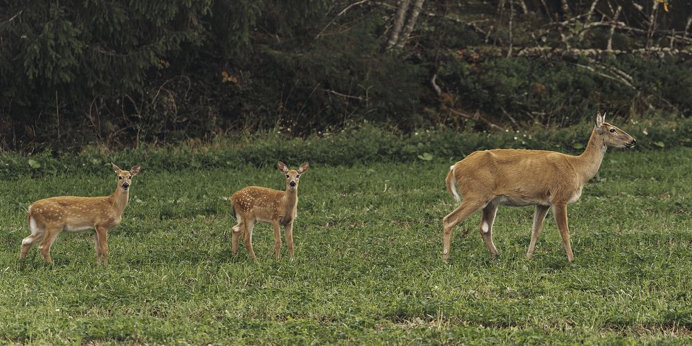 Photograph by Anna Sindikayeva