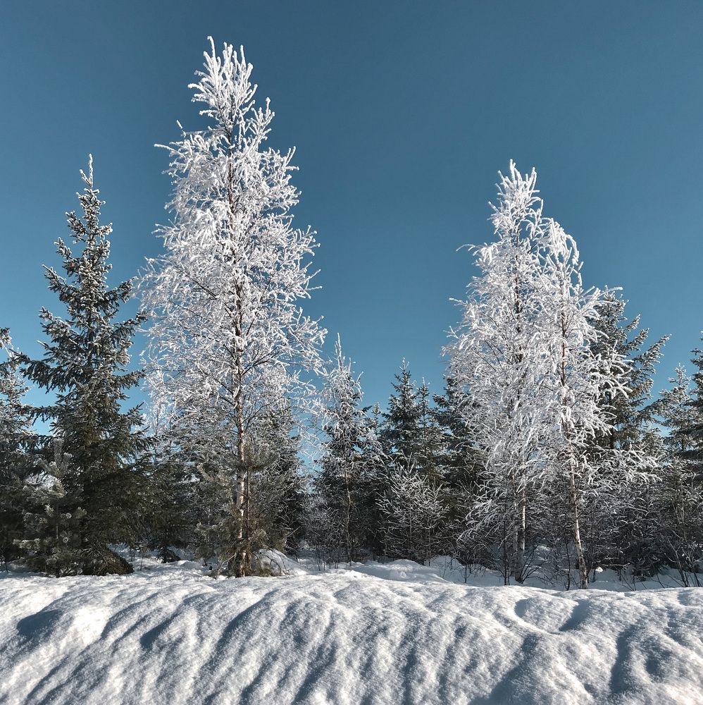 Photograph by Janina Segeda