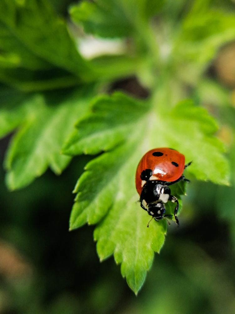 Photograph by Станислав Евсеев