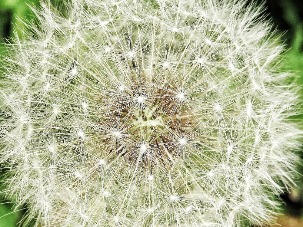 Фотография автора Mahdi Mohammadi