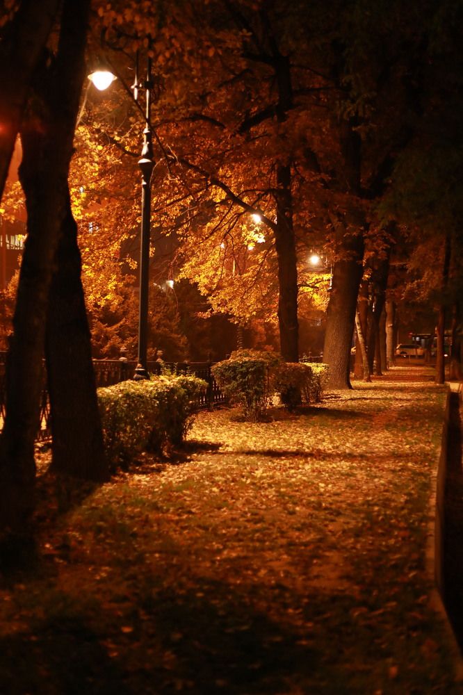 Photograph by Наталья Малышева