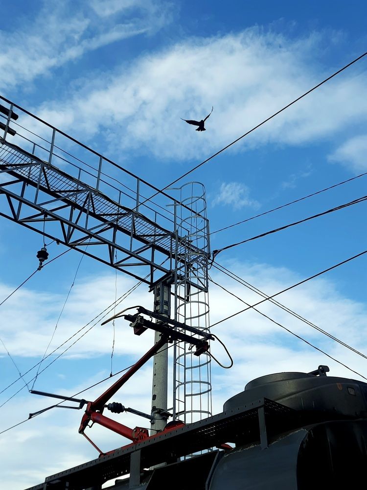 Photograph by Анастасия Алякина