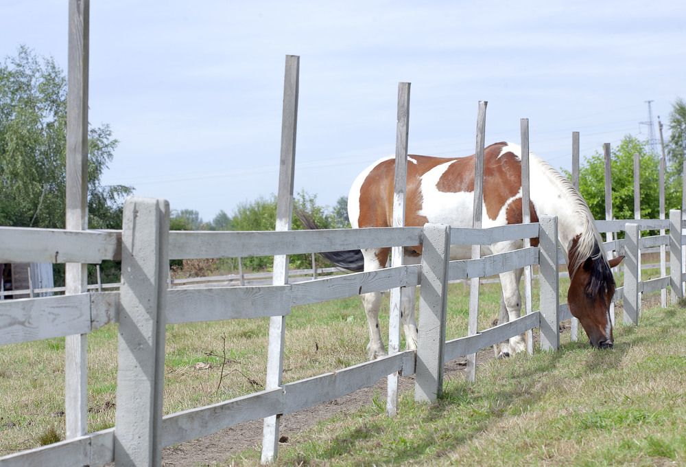 Фотография автора Alena Makushina