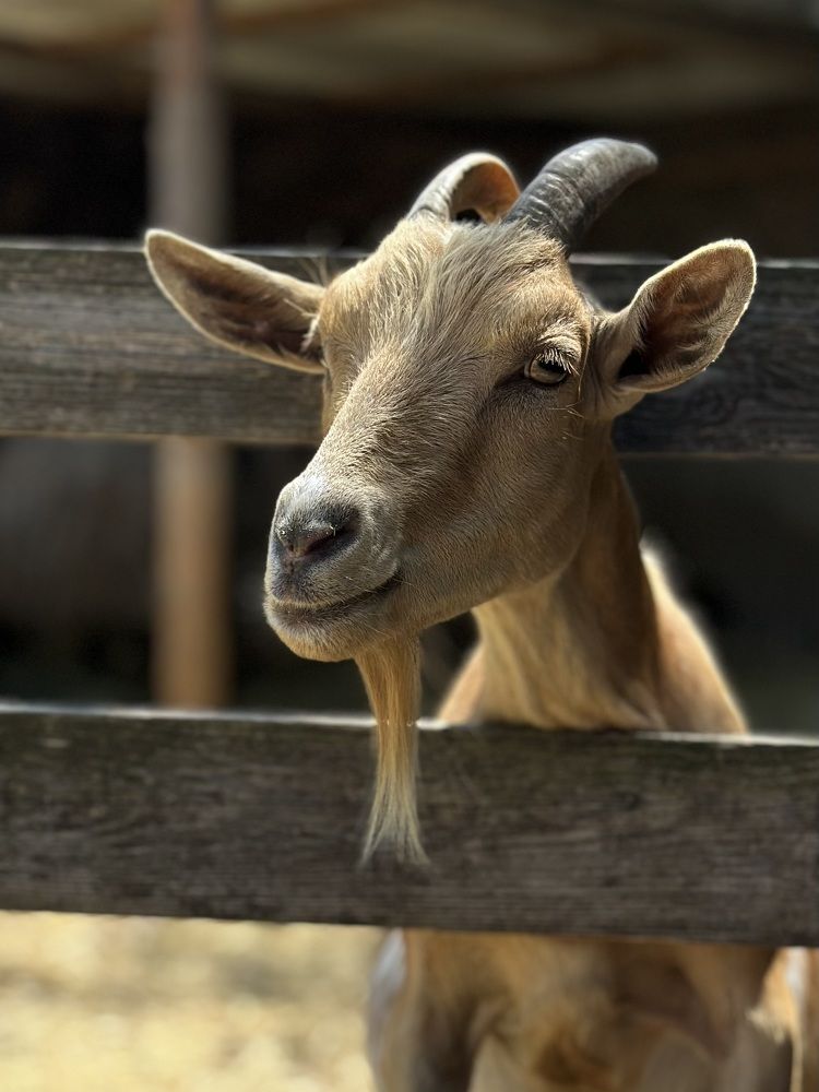 Photograph by Евгения Казакова