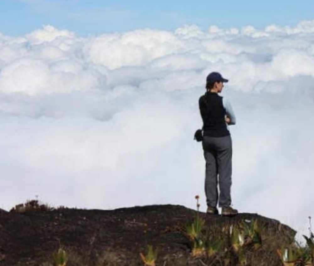 Фотография автора Марина Алексеевская