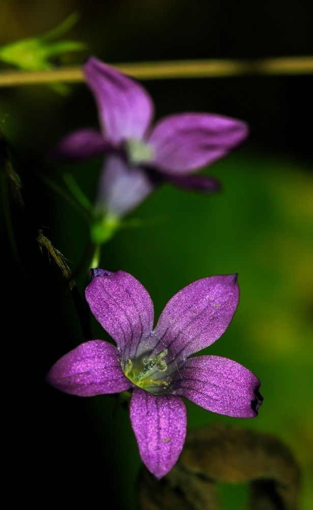 Фотография автора Котов Андрей