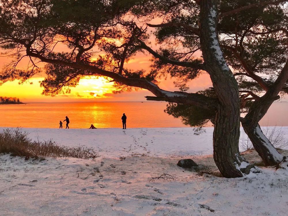 Photograph by Janina Segeda