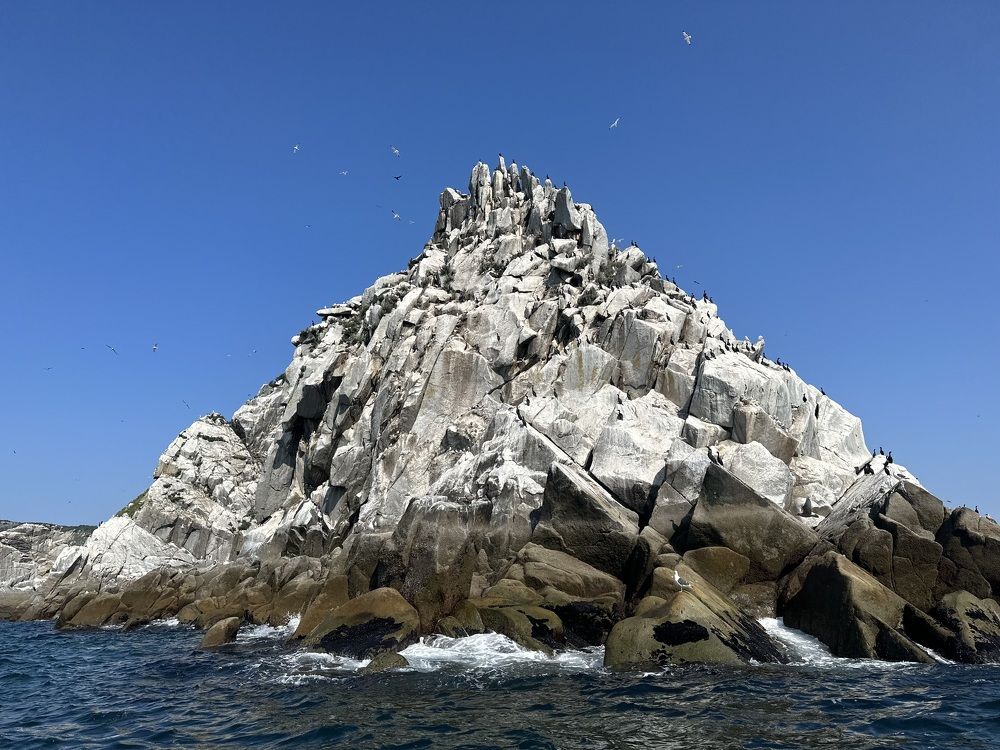 Photograph by Евгения Казакова