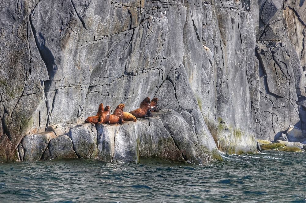 Photograph by Евгения Казакова