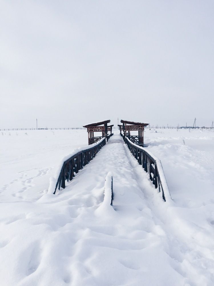 Photograph by Yana Vitkovskaya