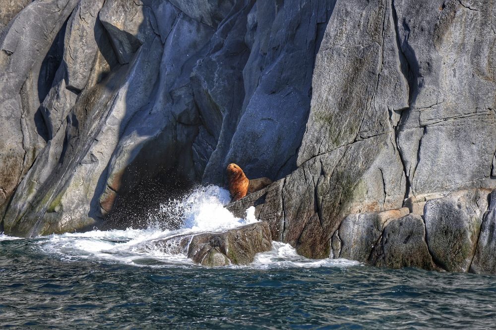 Photograph by Евгения Казакова