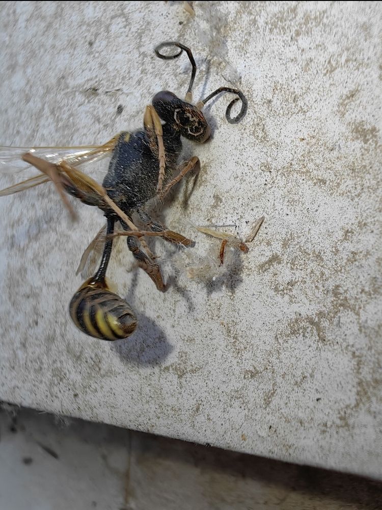 Photograph by Ирина Тихая