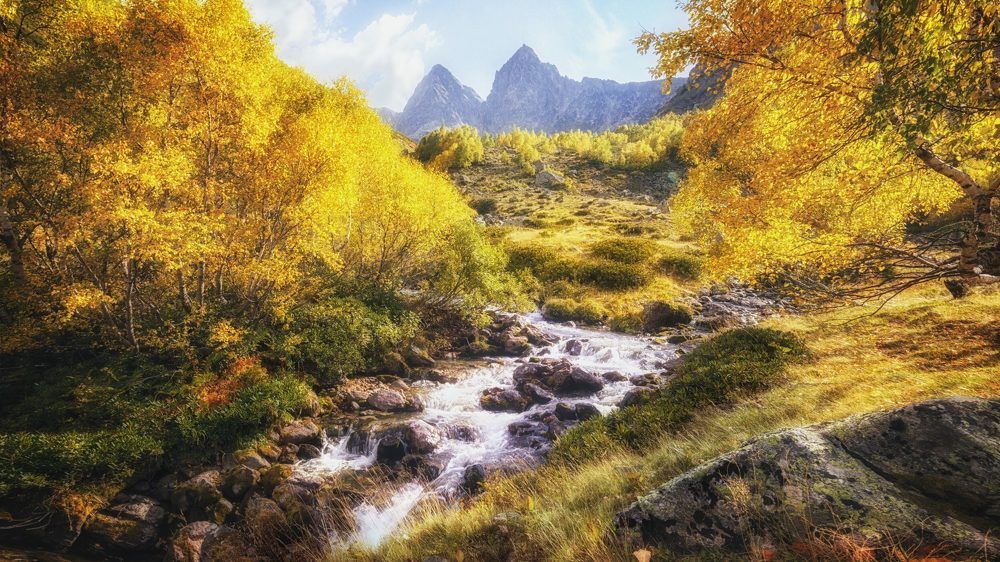 Photograph by ОЛЬГА КОВАЛЁВА