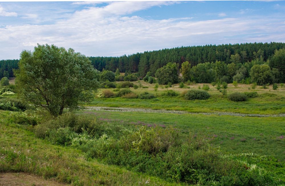 Photograph by Сергей Щербаков