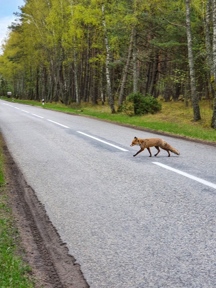Photograph by Иван Соловьёв