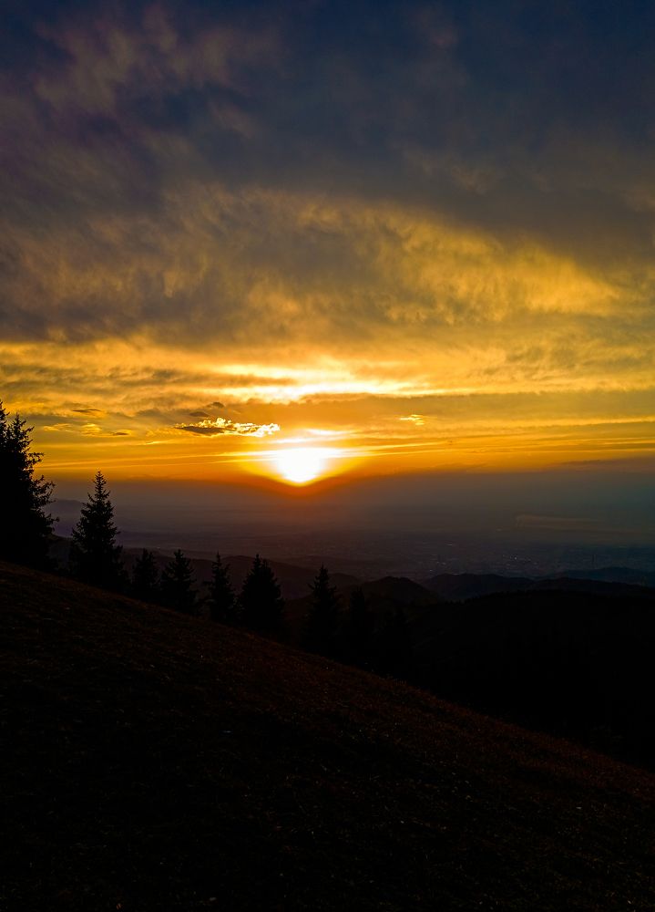 Photograph by Alexandra Motorina
