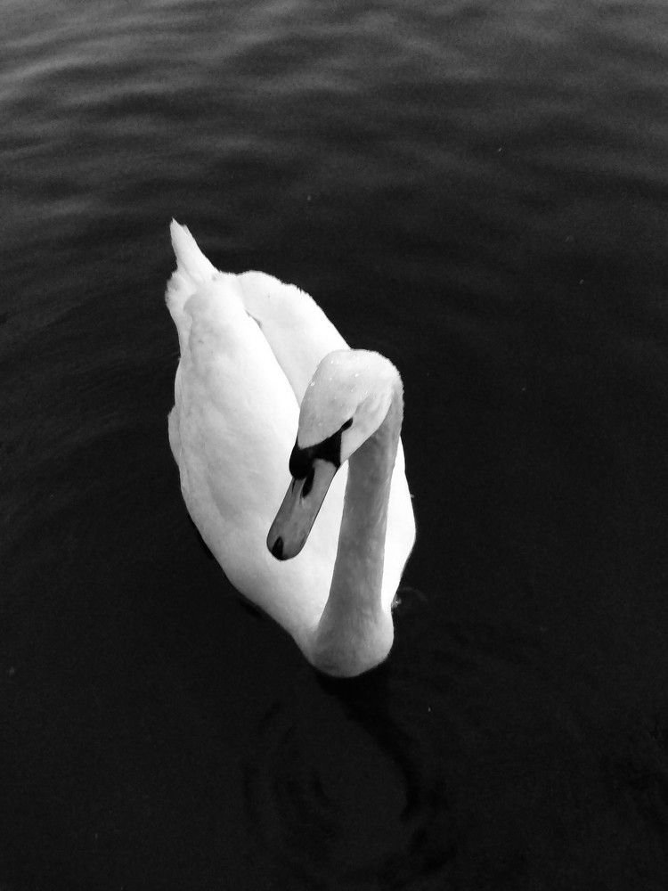 Фотография автора Марина Алексеевская