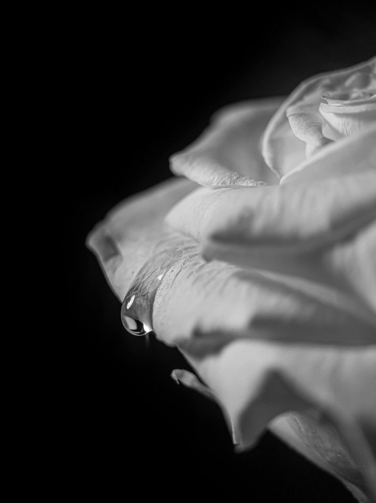 Фотография автора Марина Алексеевская