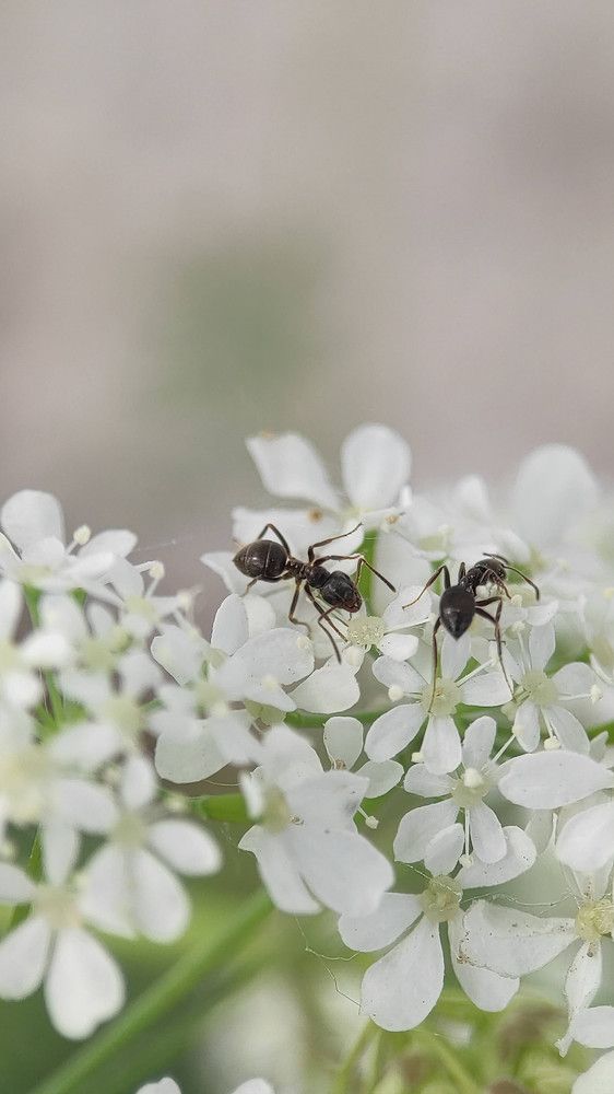 Фотография автора Марина Алексеевская