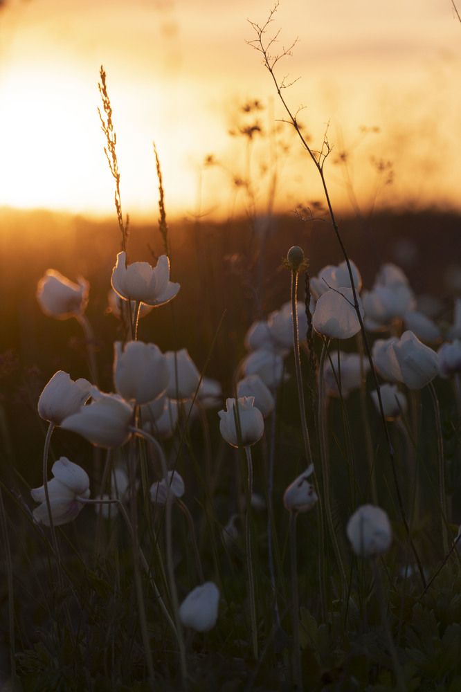 Photograph by Евгения