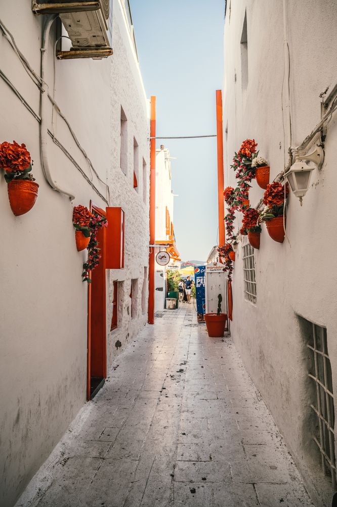 Photograph by Тарас Булай