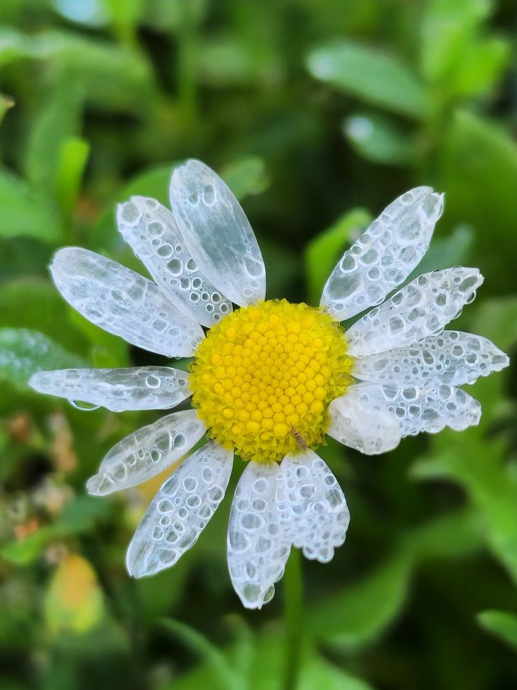 Фотография автора Ольга