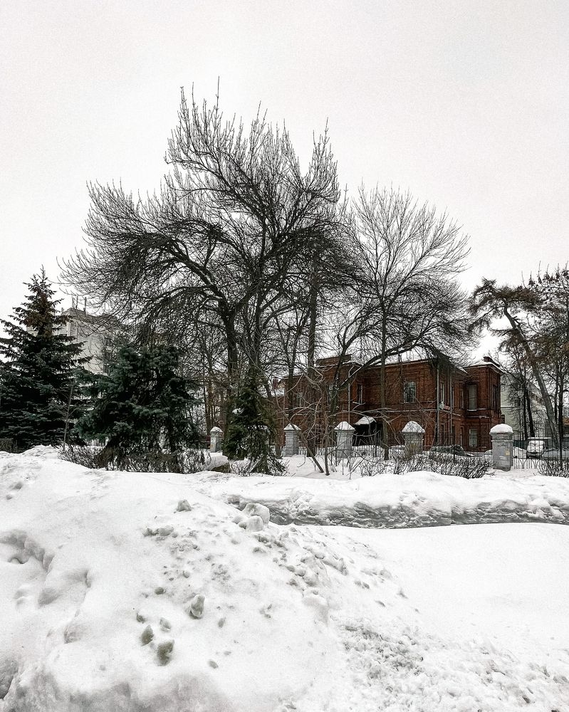 Photograph by Евгения/303284