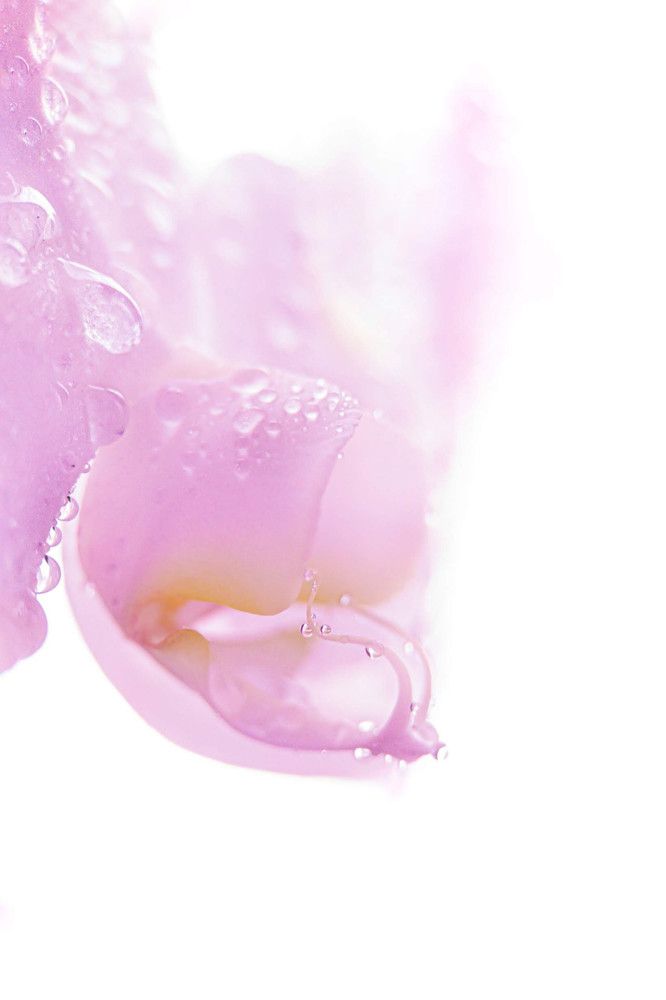 Фотография автора Марина Алексеевская