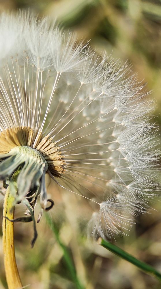Фотография автора Марина Алексеевская