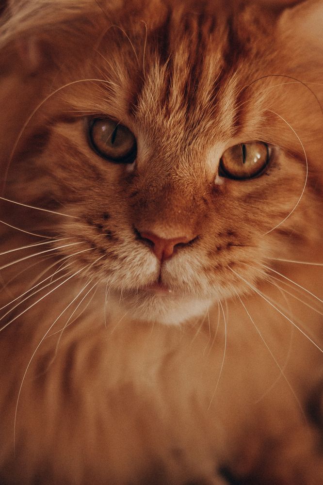 Photograph by Юлия Насифуллина