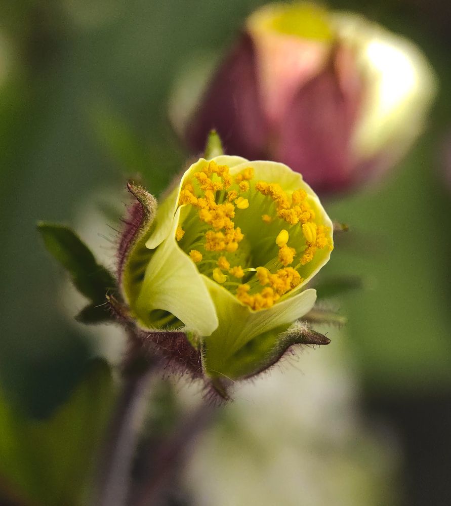 Фотография автора Марина Алексеевская