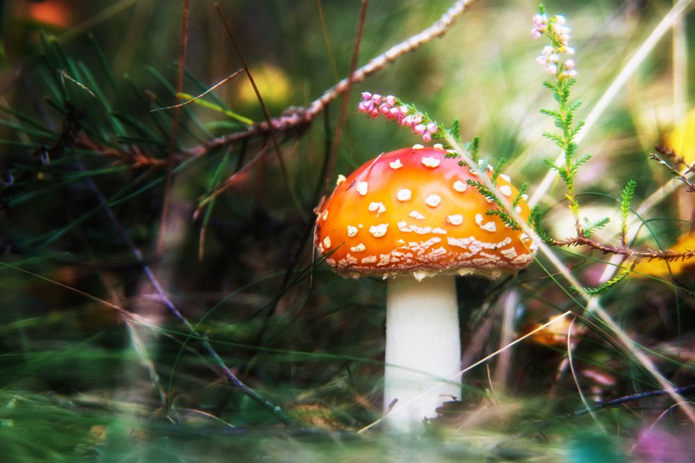 Фотография автора Юлия Кранина