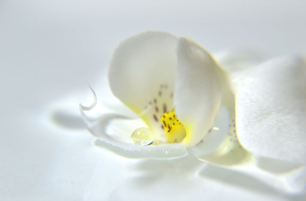 Фотография автора Юлия Кранина